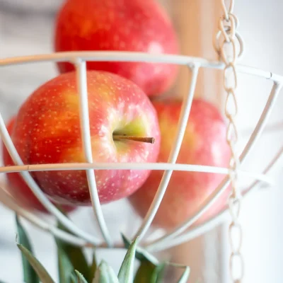 fewo-bergliebe-braunlage-13